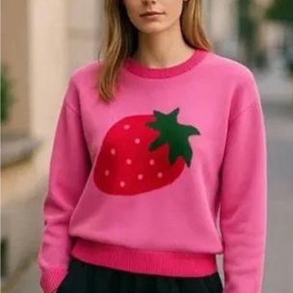 Luna Ivy Sweaters - Luna Ivy Pink Strawberry Sweater size xsmall